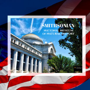 National Museum of Natural History Celebrate 250 Postcard