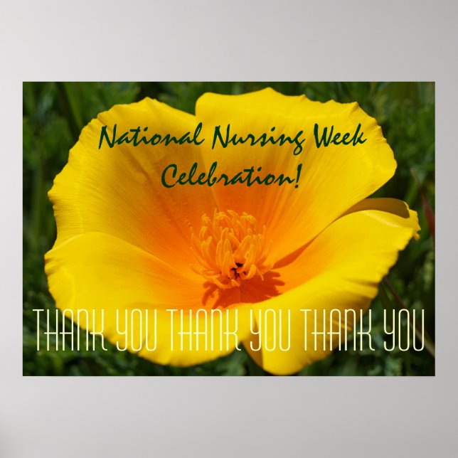 National Nursing Week Celebration poster thank you (Front)