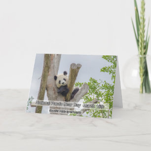 National Panda Day March 16th Animal Holidays Card