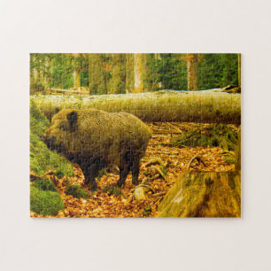 National Park Bayrischerwaldaw Bavaria Germany. Jigsaw Puzzle
