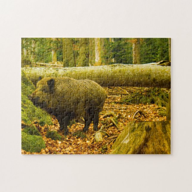 National Park Bayrischerwaldaw Bavaria Germany. Jigsaw Puzzle (Horizontal)