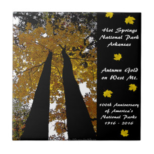 National Park Centennial Hot Springs Autumn Gold Ceramic Tile