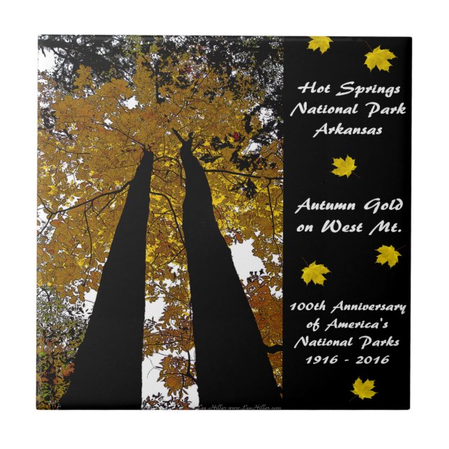 National Park Centennial Hot Springs Autumn Gold Ceramic Tile (Front)