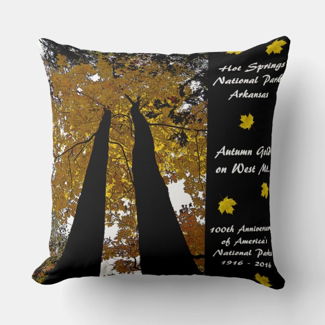 National Park Centennial Hot Springs Autumn Gold Cushion (Front)