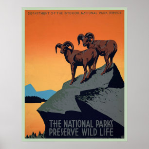 National Park Vintage Poster