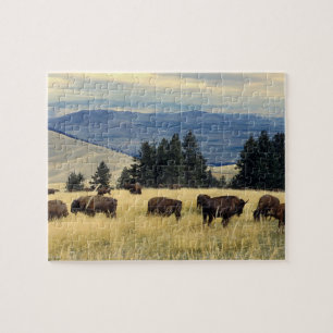National Parks Bison Herd Jigsaw Puzzle