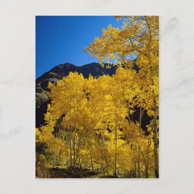 National Parks Postcard (Front)