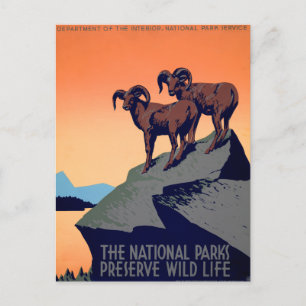 National Parks Postcard