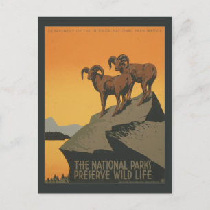 National Parks Preserve Vintage Ad. Postcard
