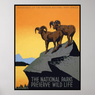 National Parks Preserve Wild Life Poster