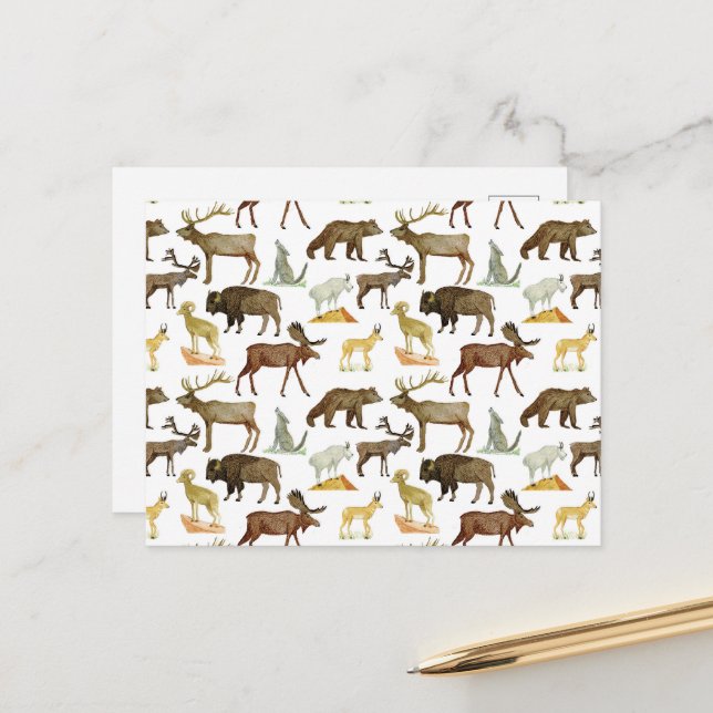 National Parks Wildlife Postcard (Front/Back In Situ)