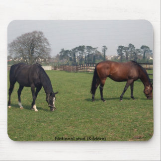 National stud mouse pad