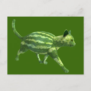 National Watermelon Day Cat Postcard
