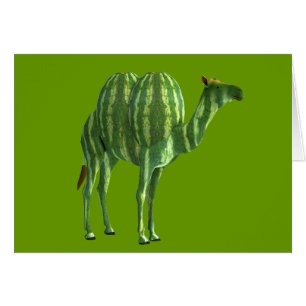 National Watermelon Day Dromedary