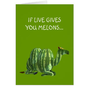 National Watermelon Day Dromedary