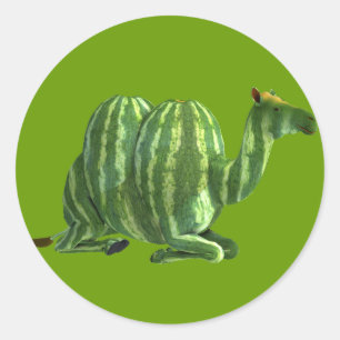 National Watermelon Day Dromedary Classic Round Sticker