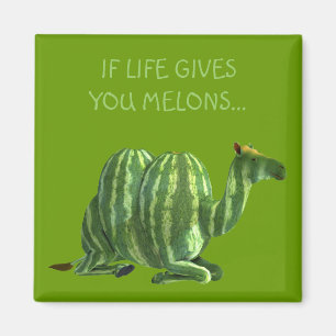 National Watermelon Day Dromedary Magnet