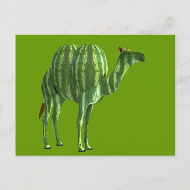 National Watermelon Day Dromedary Postcard (Front)