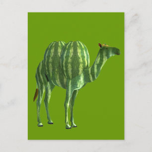 National Watermelon Day Dromedary Postcard