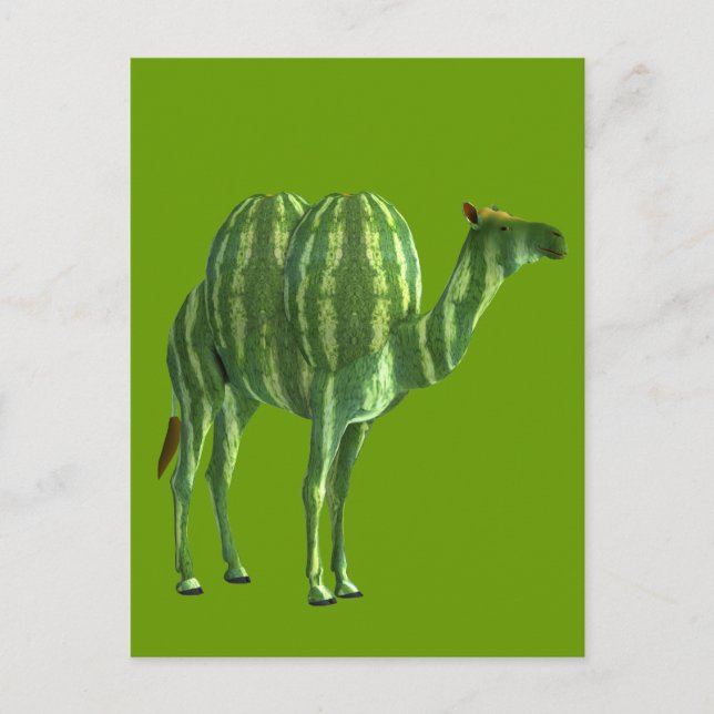 National Watermelon Day Dromedary Postcard (Front)