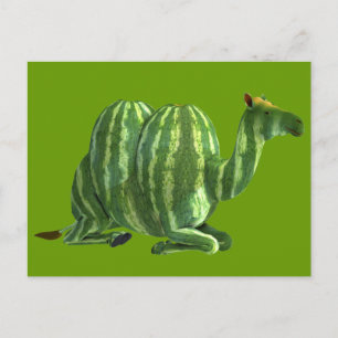 National Watermelon Day Dromedary Postcard