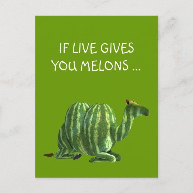 National Watermelon Day Dromedary Postcard (Front)