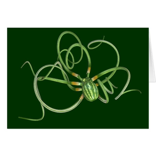 National Watermelon Day Octopus (Front Horizontal)