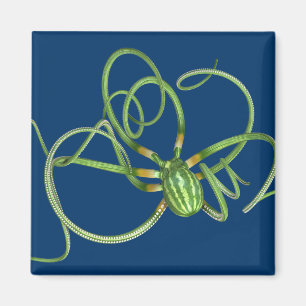 National Watermelon Day Octopus Magnet