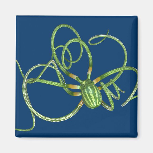 National Watermelon Day Octopus Magnet (Front)