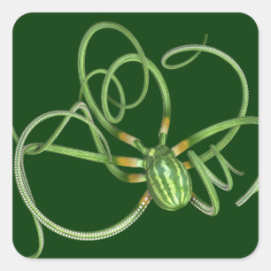 National Watermelon Day Octopus Square Sticker