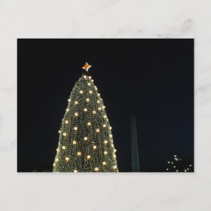 National Xmas Tree & Washington Monument at Night Holiday Postcard
