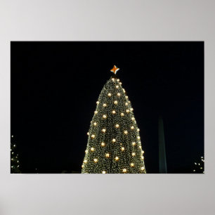 National Xmas Tree & Washington Monument at Night Poster