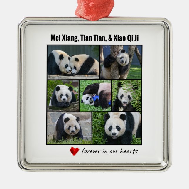 National Zoo Pandas "Forever in Our Hearts" Metal Ornament (Front)