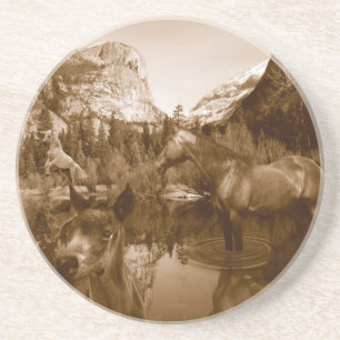 native american coaster
