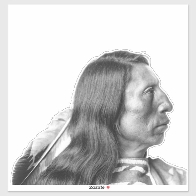 NATIVE AMERICAN DIE CUT CAR DECAL STICKER (Sheet)
