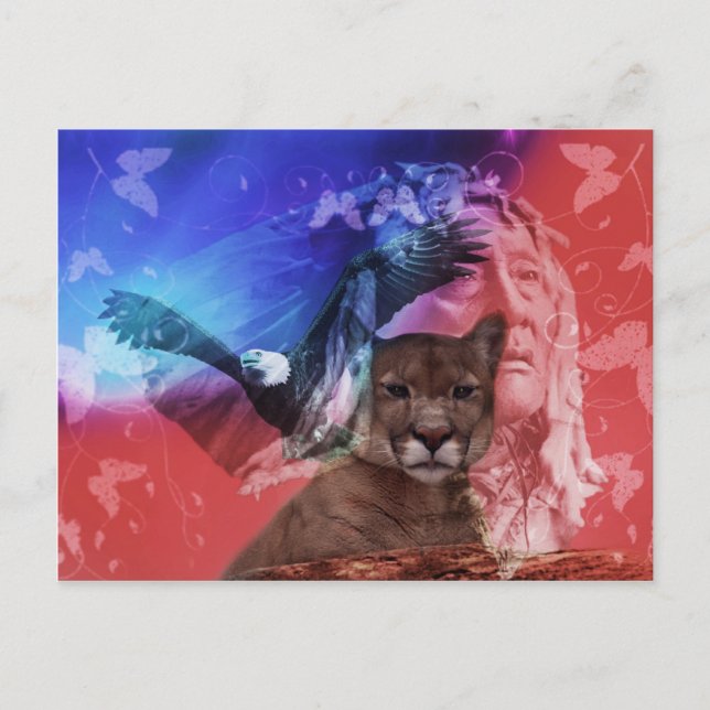 Native American Indian Chief Postcard (Front)