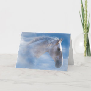 Native American Indian Pony Happy Birthday Card