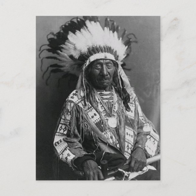 Native American Indian Vintage Portrait Postcard (Front)
