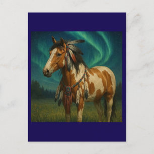 Native American Paint Horse Postcard - Hania