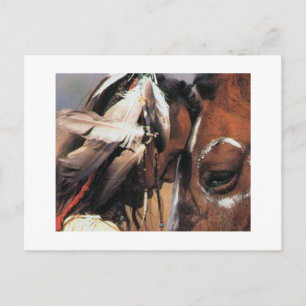 NATIVE AMERICAN POSTCARD