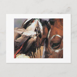 NATIVE AMERICAN POSTCARD