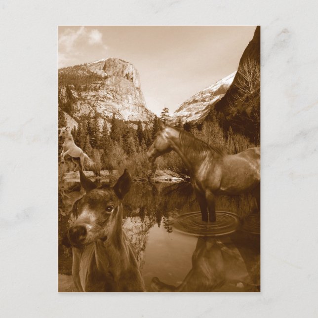 native american postcard (Front)