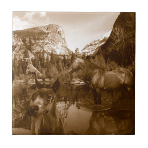 native american tile