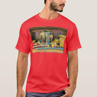 Native American Treasures T-Shirt