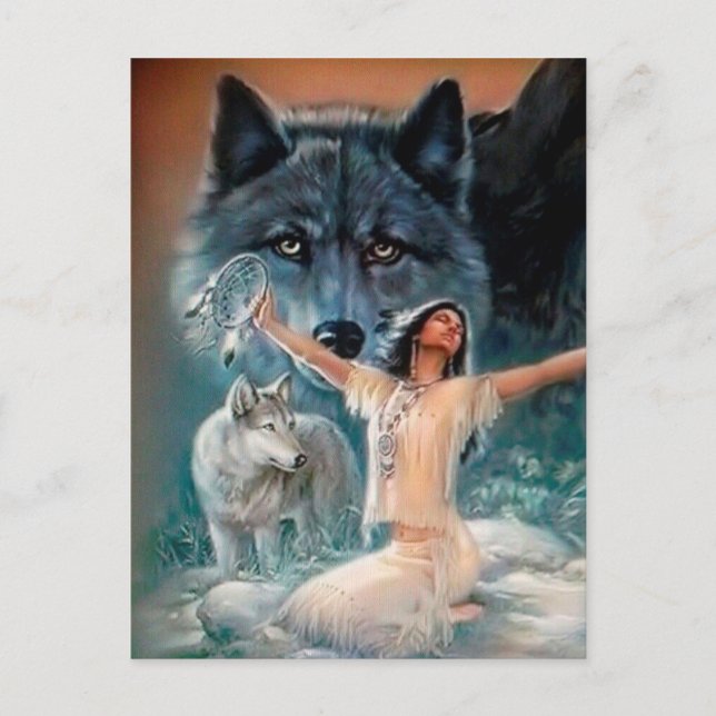Native American, Wolf and Dreamcatcher Postcard (Front)