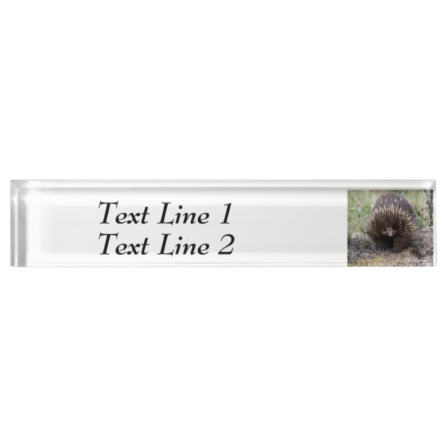 Native Australian Wild Echidna Photo Nameplate (Front)