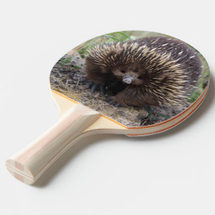 Native Australian Wild Echidna Photo Ping Pong Paddle
