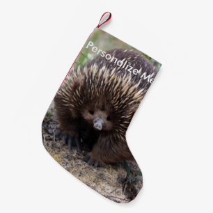 Native Australian Wild Echidna Photo Small Christmas Stocking