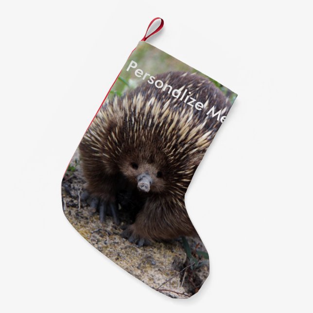 Native Australian Wild Echidna Photo Small Christmas Stocking (Front (Hanging))