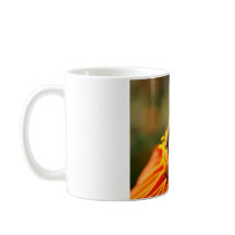 Native Bee in an Orange Flower Mug